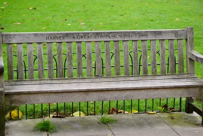 DSC_0538 (Large).JPG